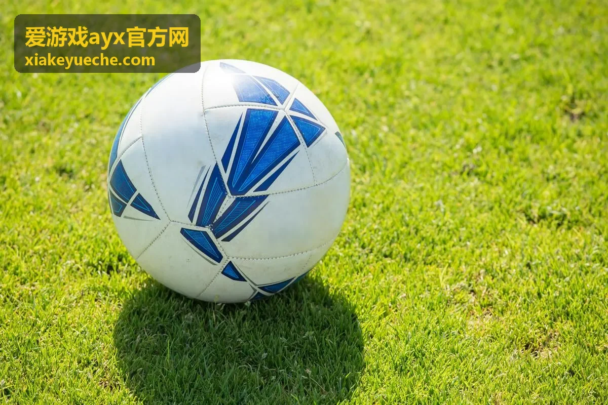 爱游戏ayx官方网密码与验证方式维护配图